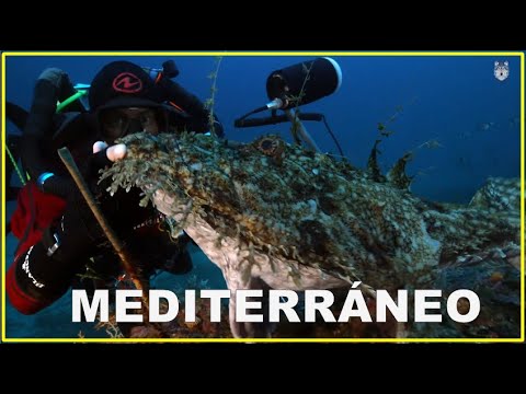 🐟🐠 PLANETA MEDITERRÁNEO 🐟🐠 | Buceo a más de 100m de profundidad (Peces, crustáceos, calamares…) 🦑