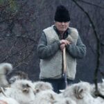 VIVIR CON LOBOS | PASTOR de los Cárpatos (Rumanía) | 🌳 Naturaleza de  los bosques de Europa 🌳