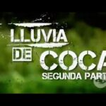 Lluvia de coca II parte: microtráfico y adicción en la sociedad colombiana – Séptimo Día