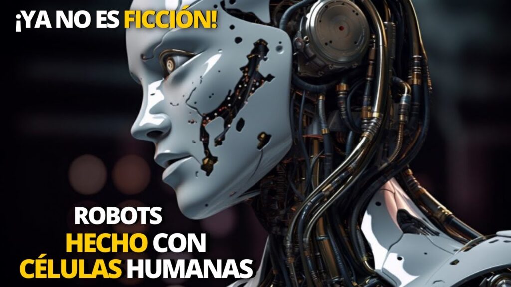 Robots hechos con células humanas | Reino Unido utiliza ChatGPT en robots de combate |Robot de boxeo