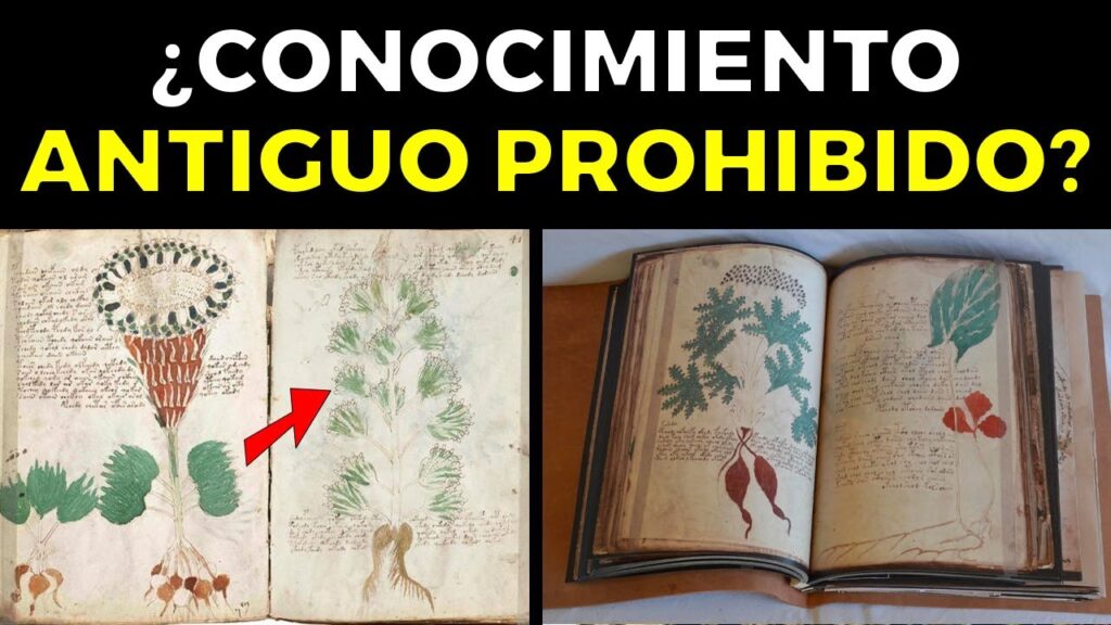 Este Libro Antiguo del año 1404 Acaba de Revelar Imágenes de Plantas Extraterrestres